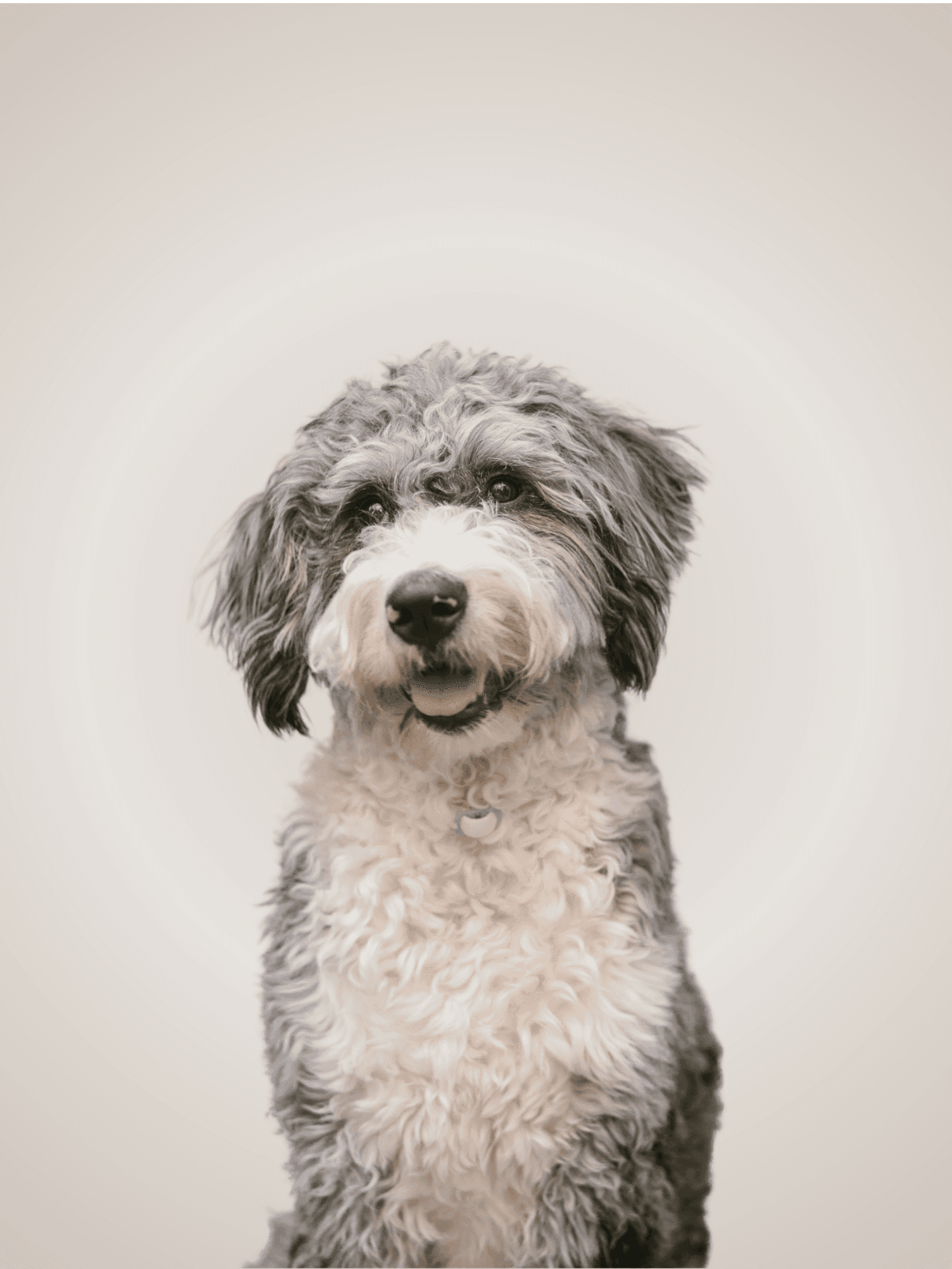 Rachel Simmons, Head of customer experience